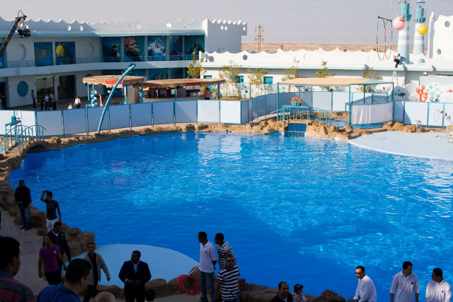 Дельфинарий в Хургаде 2026 – фото 5